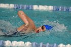 Women's Swimming & Diving  Wheaton College Women’s Swimming & Diving vs Mount Holyoke College. - Photo by Keith Nordstrom : Wheaton, Swimming & Diving